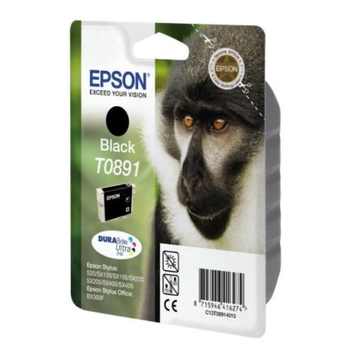 Epson atramentová náplň čierna (C13T08914011 / T0891)
