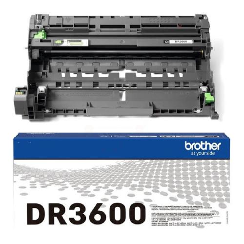 Brother bubon (DR3600)